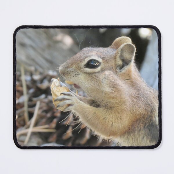 Item preview, Ardilla hambrienta designed and sold by Susie Cunningham.