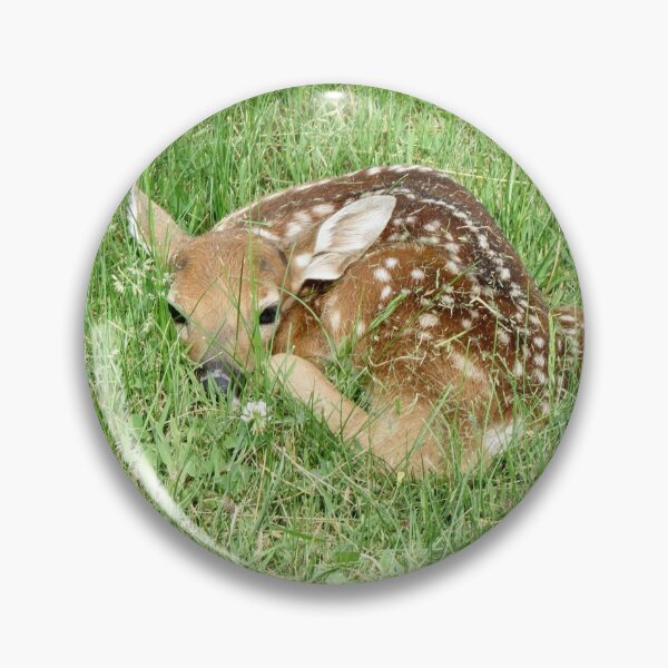 Item preview, New fawn designed and sold by Susie Cunningham.