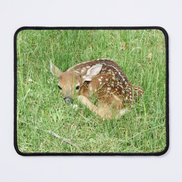 Item preview, New fawn designed and sold by Susie Cunningham.