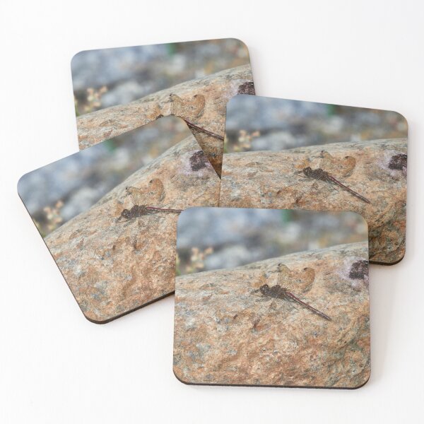 Item preview, It wasn't me. Vagrant darter designed and sold by Jouko Lehto Photography.