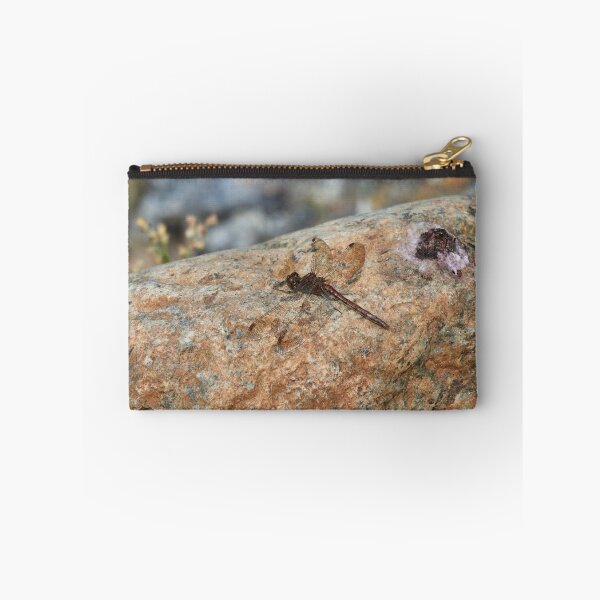 Item preview, It wasn't me. Vagrant darter designed and sold by Jouko Lehto Photography.