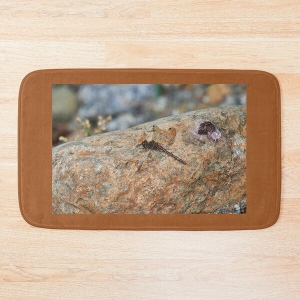 Item preview, It wasn't me. Vagrant darter designed and sold by Jouko Lehto Photography.