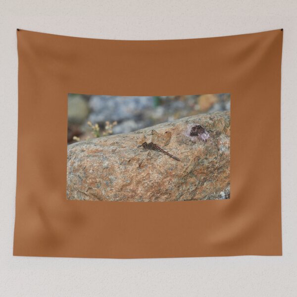 Item preview, It wasn't me. Vagrant darter designed and sold by Jouko Lehto Photography.