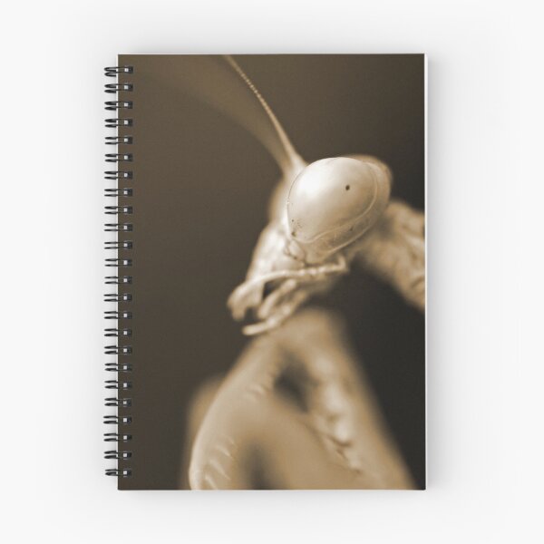 Item preview, Mantis In Sepia designed and sold by Chet  King.