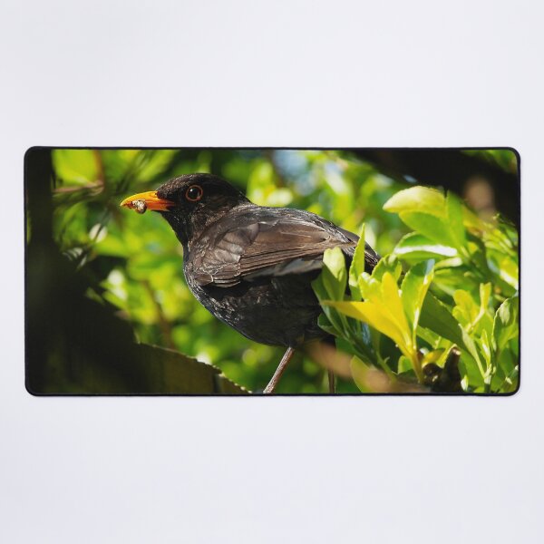 Item preview, The Early Bird designed and sold by Fay Freshwater.