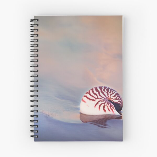 Item preview, Beachside designed and sold by Lindy Sherwell.