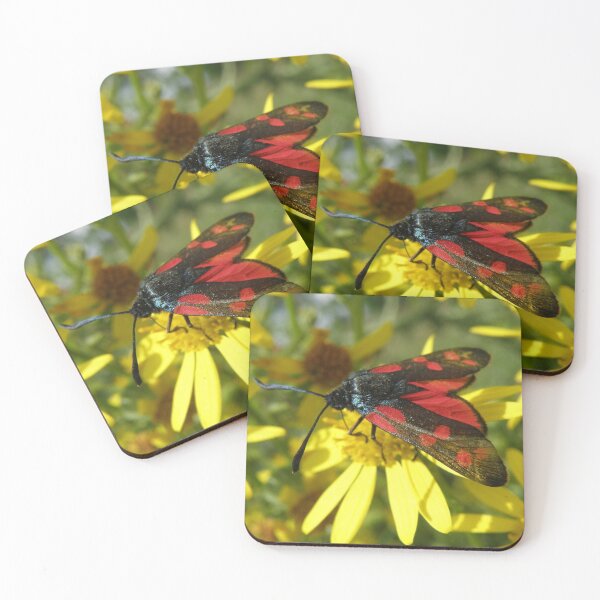 Item preview, Six Spot Burnet Moth Feeding Macro Photograph designed and sold by naturegallery.
