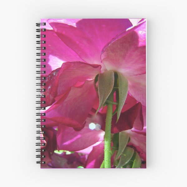 Item preview, hidden gems designed and sold by Jan Stead JEMproductions.