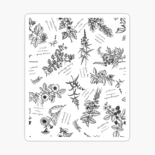 Item preview, Modern herbalist botanical illustration pattern designed and sold by RedFinchDesigns.