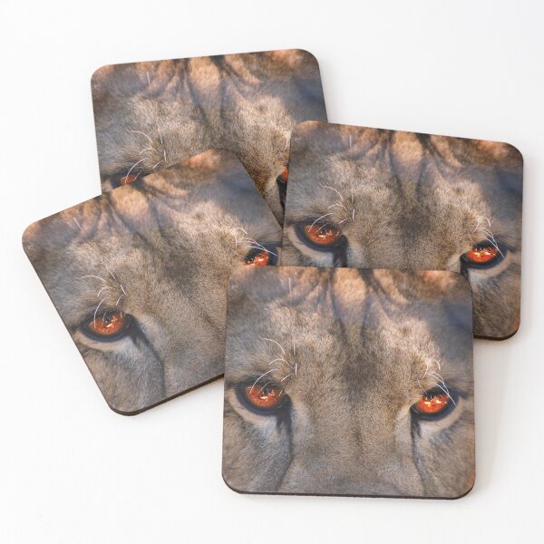 Item preview, Lion Cub designed and sold by cherylorraine.