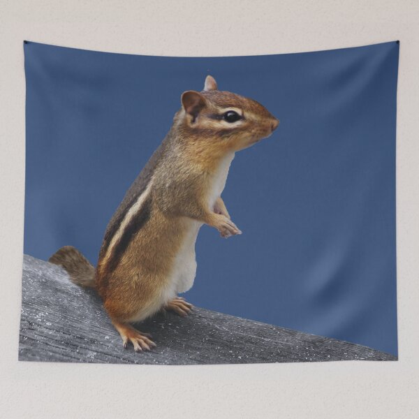 Item preview, Eastern Chipmunk designed and sold by cherylorraine.