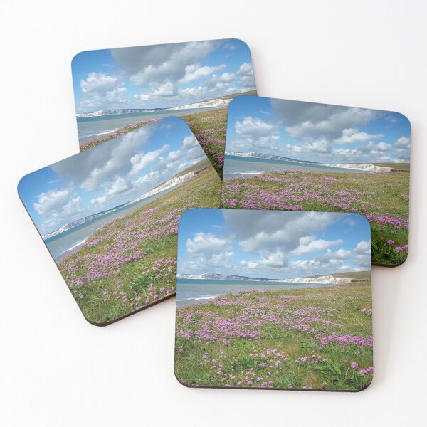 Item preview, Tienda de segunda mano de Compton Bay Sea Thrift designed and sold by manateevoyager.