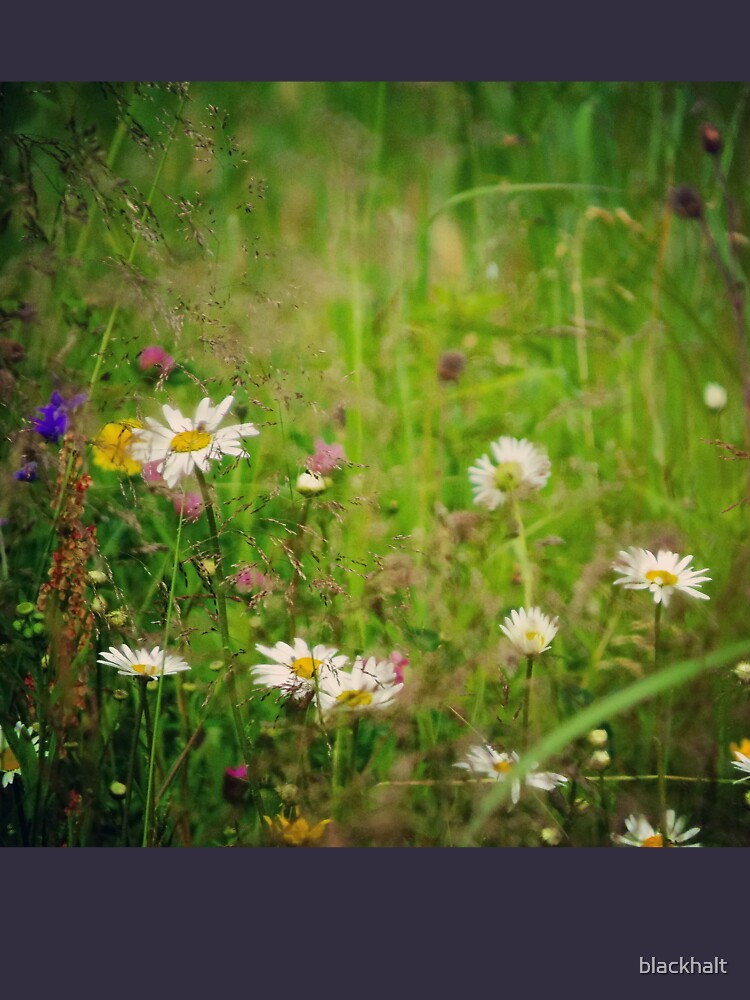 Floral nature by blackhalt