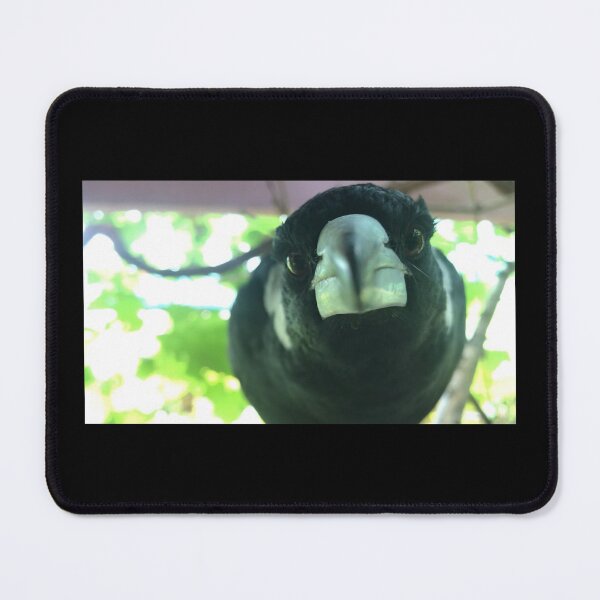 Item preview, Miss Eli Australian Magpie designed and sold by YollieBeeArt.