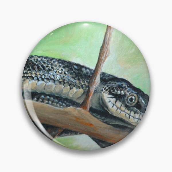 Item preview, Friendly Black Rat Snake designed and sold by dragonbee.