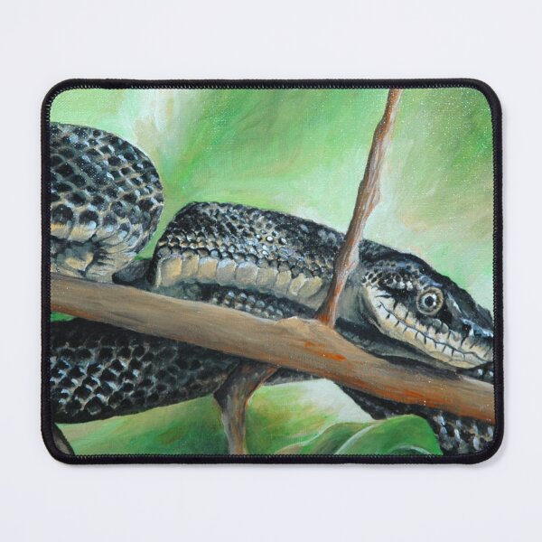 Item preview, Friendly Black Rat Snake designed and sold by dragonbee.