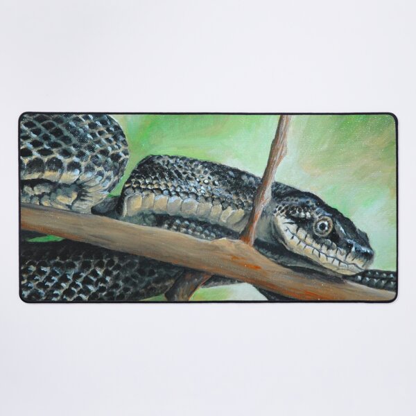 Item preview, Friendly Black Rat Snake designed and sold by dragonbee.