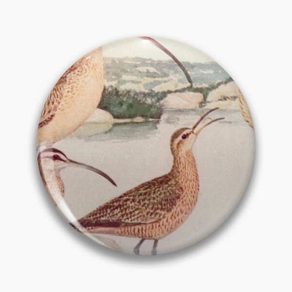 Item preview, Godwit Curlew birds illustration designed and sold by Vintage Designs +.