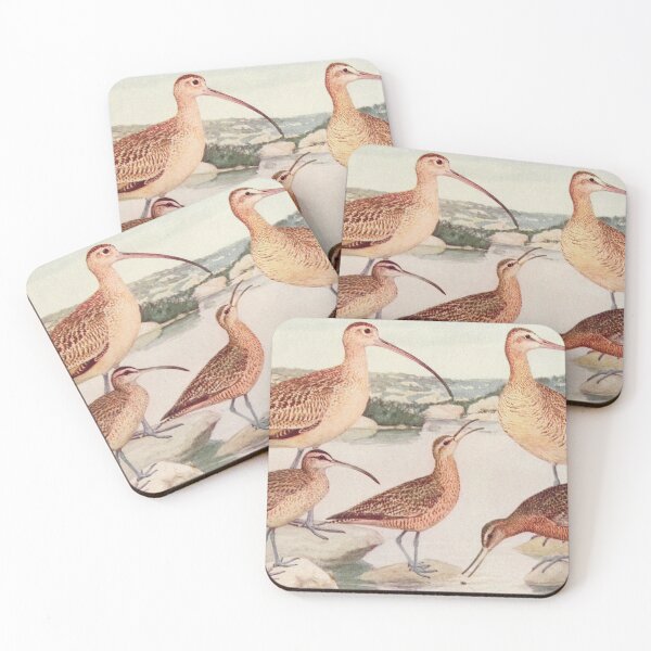 Item preview, Godwit Curlew birds illustration designed and sold by Vintage Designs +.