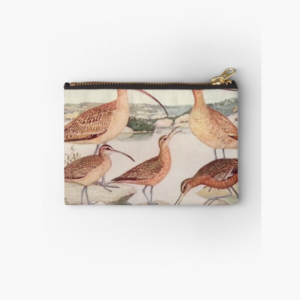 Item preview, Godwit Curlew birds illustration designed and sold by Vintage Designs +.