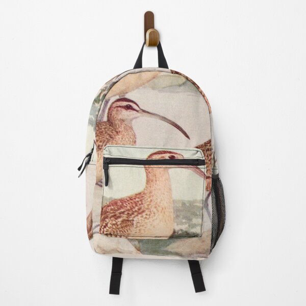 Item preview, Godwit Curlew birds illustration designed and sold by Vintage Designs +.