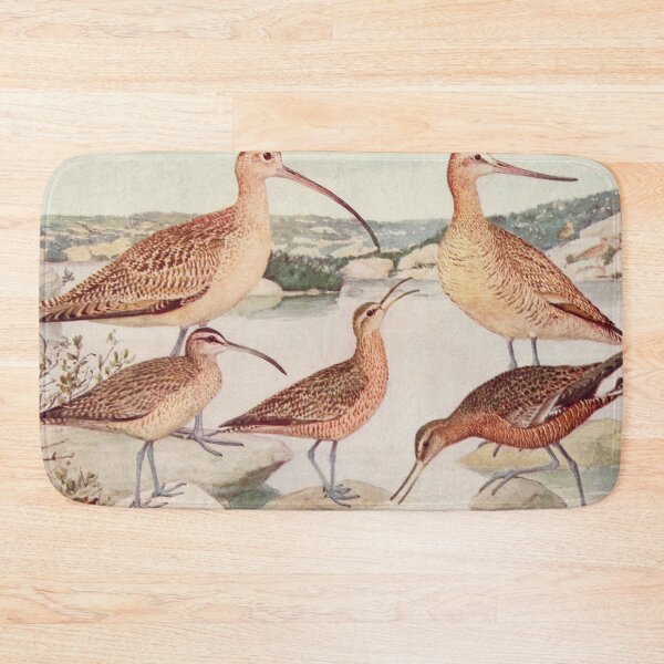 Item preview, Godwit Curlew birds illustration designed and sold by Vintage Designs +.