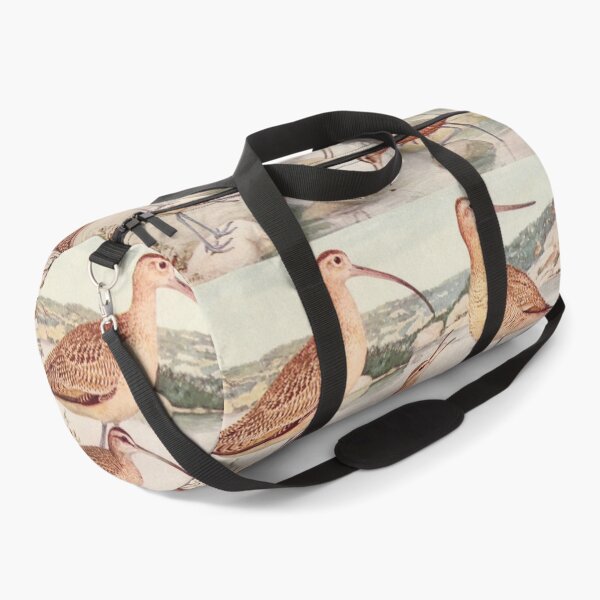 Item preview, Godwit Curlew birds illustration designed and sold by Vintage Designs +.