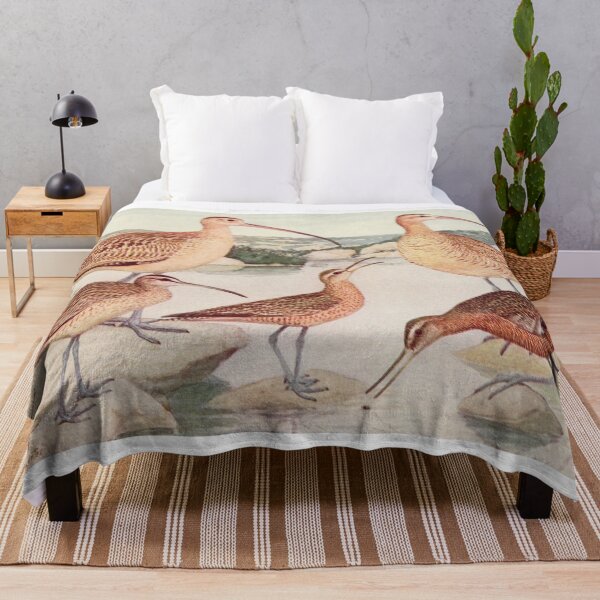 Item preview, Godwit Curlew birds illustration designed and sold by Vintage Designs +.