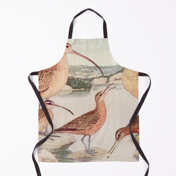 Item preview, Godwit Curlew birds illustration designed and sold by Vintage Designs +.