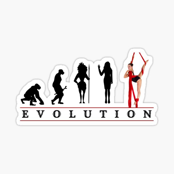 Womens Aerial Silk Evolution of Woman Sticker