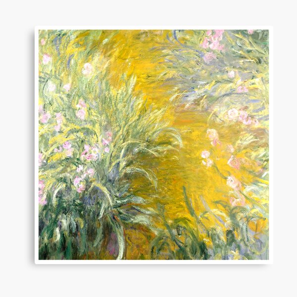 The Path through the Irises Metal Print