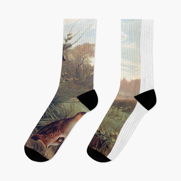 Item preview, Partridge illustration designed and sold by Vintage Designs +.