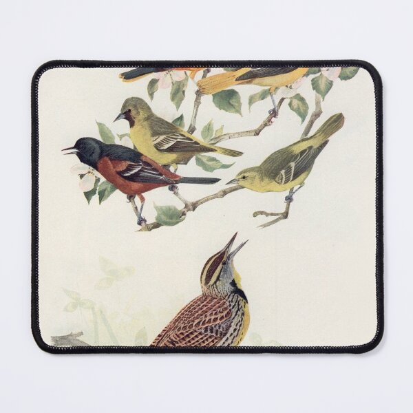 Item preview, Oriole and Meadowlark birds illustration designed and sold by Vintage Designs +.