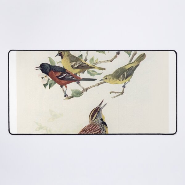 Item preview, Oriole and Meadowlark birds illustration designed and sold by Vintage Designs +.