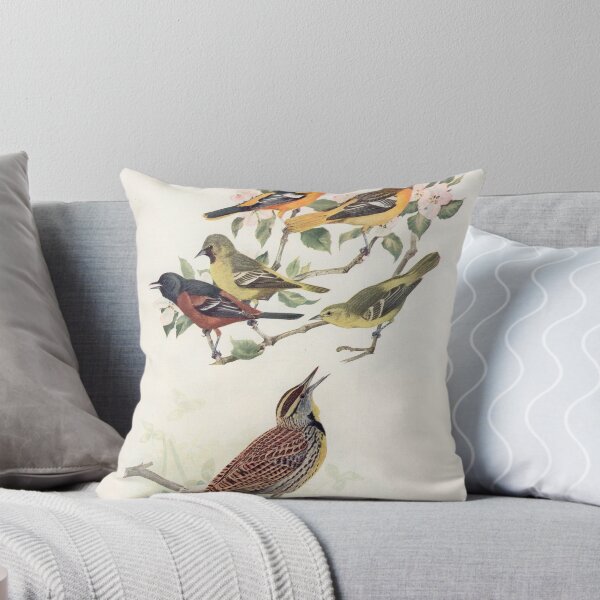 Item preview, Oriole and Meadowlark birds illustration designed and sold by Vintage Designs +.