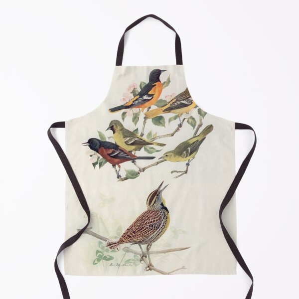 Item preview, Oriole and Meadowlark birds illustration designed and sold by Vintage Designs +.