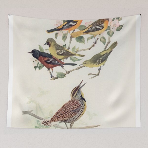 Item preview, Oriole and Meadowlark birds illustration designed and sold by Vintage Designs +.