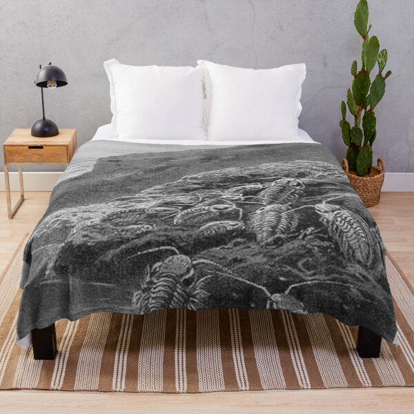 Item preview, Large extinct animal trilobites designed and sold by Vintage Designs +.