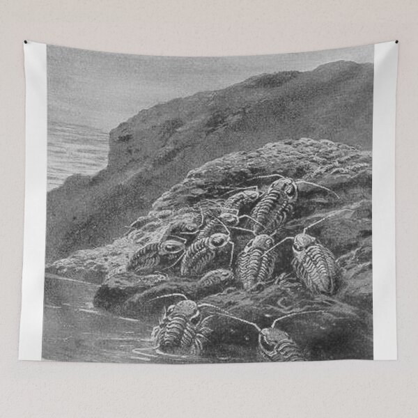 Item preview, Large extinct animal trilobites  designed and sold by Vintage Designs +.