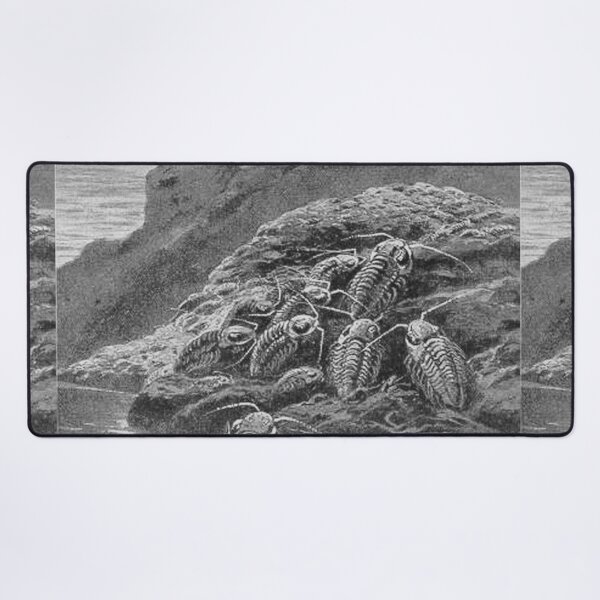 Item preview, Large extinct animal trilobites  designed and sold by Vintage Designs +.