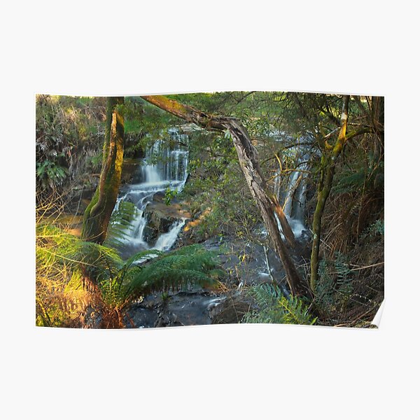 Upper Turtons Creek Falls Poster