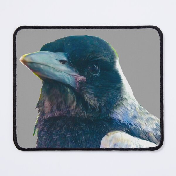 Item preview, Bub! Rescued Australian Juvenile Magpie.  designed and sold by YollieBeeArt.