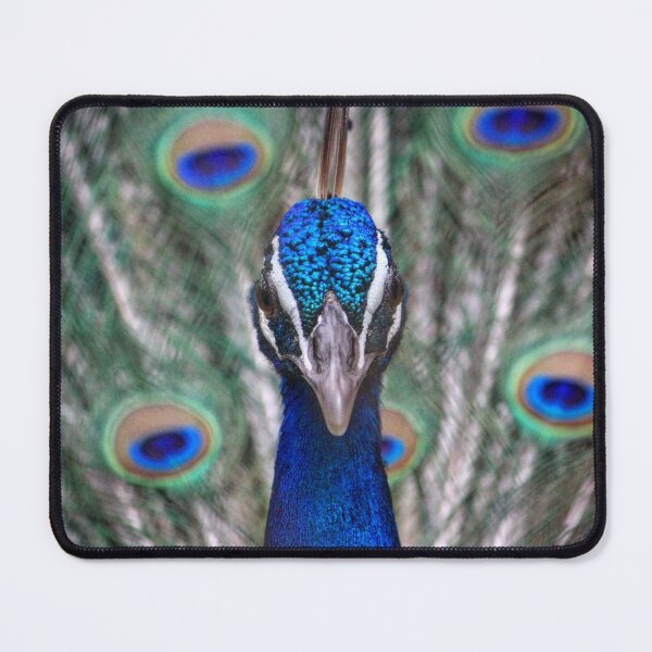 Item preview, Birds of a Feather designed and sold by AnnoyedMouse.