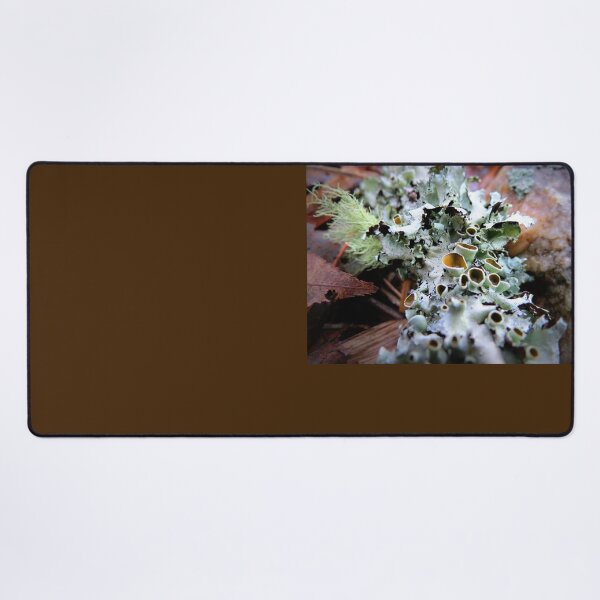 Item preview, Stalked-cup Lichen designed and sold by Jean Gregory Evans.