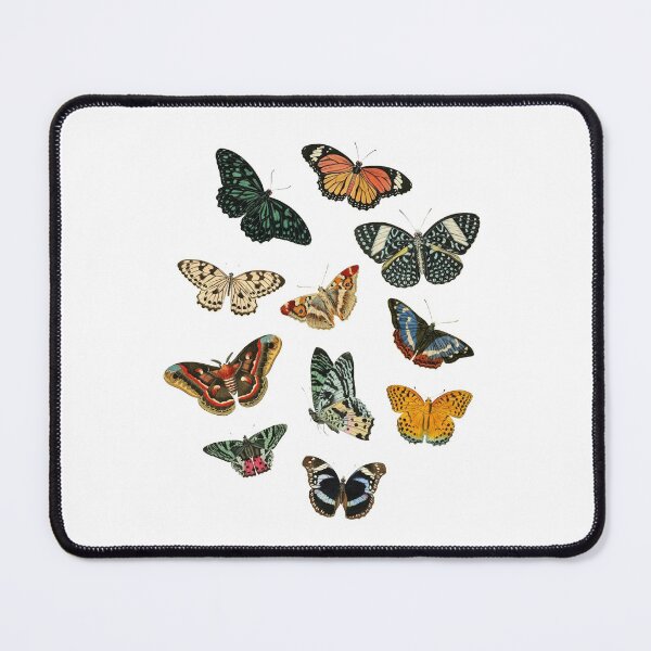 Item preview, Butterflies designed and sold by louiseable.