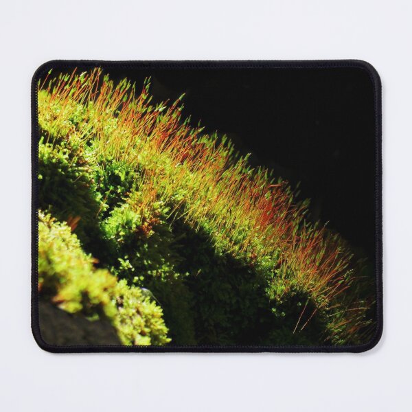 Item preview, Fire Moss designed and sold by Jean Gregory Evans.