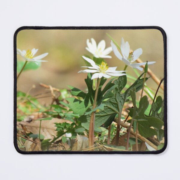 Item preview, Its Spring! designed and sold by Jean Gregory Evans.