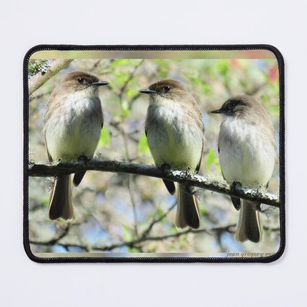 Item preview, Little Brown Birds Of Spring designed and sold by Jean Gregory Evans.