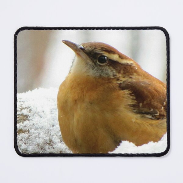 Item preview, Little Wren designed and sold by Jean Gregory Evans.