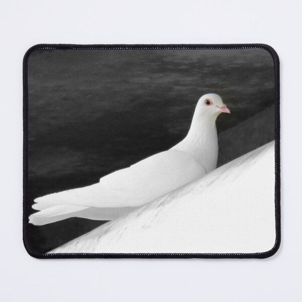 Item preview, Coo, Coo Coo designed and sold by Jean Gregory Evans.